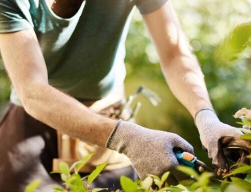 Warmer Weather: Gardening and Yardwork