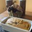 Pumpkin Banana Bread