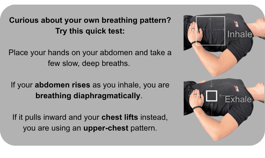 Diaphragmatic Breakthing Person executing diaphragmatic breathing
